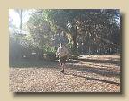 IMG_5547