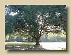 IMG_6560