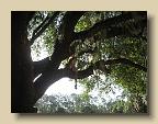 IMG_6568
