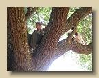IMG_6570