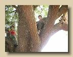 IMG_6571