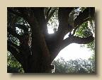IMG_6573