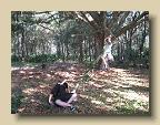 IMG_6576