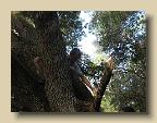 IMG_6581