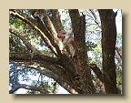 IMG_6584