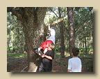 IMG_6586