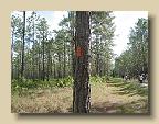 IMG_6597